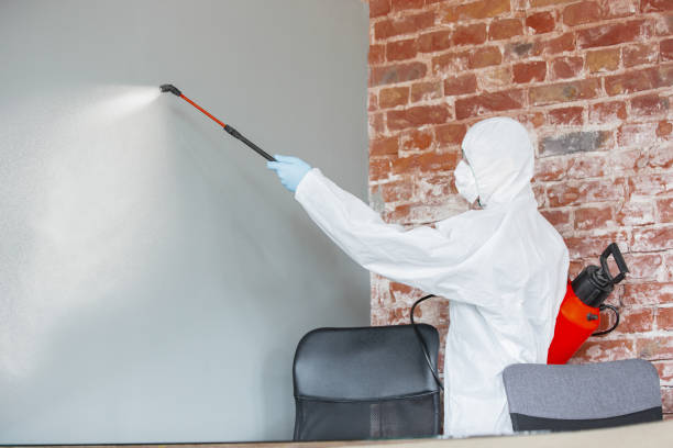 Best Biohazard Mold Removal  in Buchanan, NY