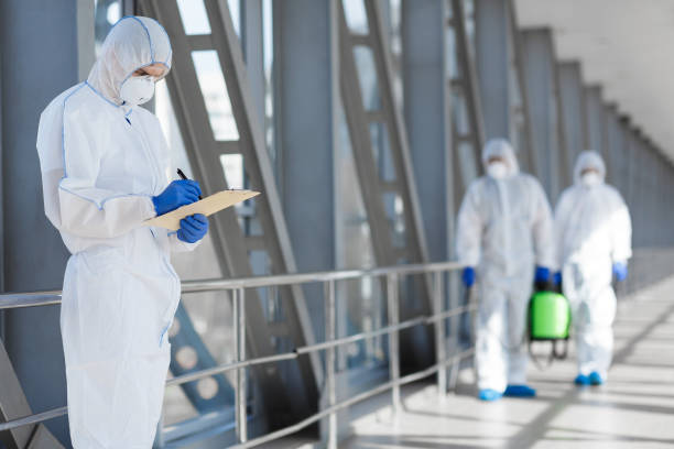 Best Industrial Mold Remediation  in Buchanan, NY
