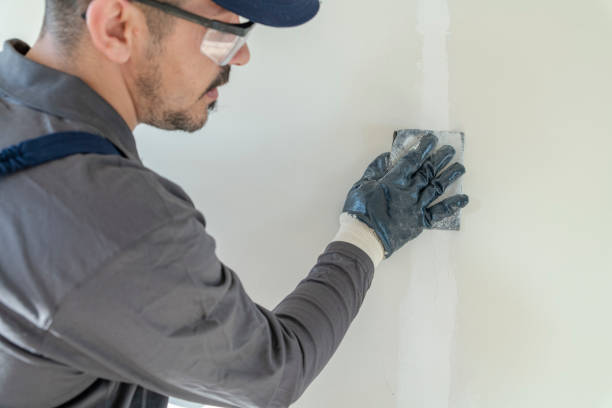 Best Black Mold Removal  in Buchanan, NY