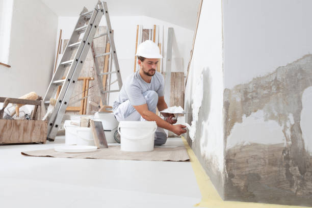 Best Mold Damage Restoration  in Buchanan, NY