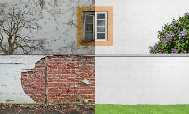 Best Mold Odor Removal Services  in Buchanan, NY