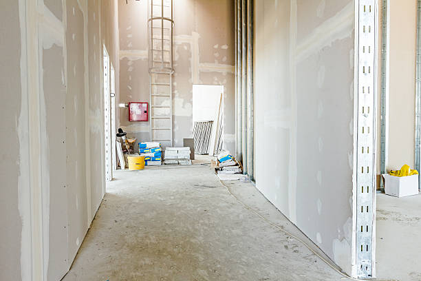 Best Commercial Mold Inspection  in Buchanan, NY