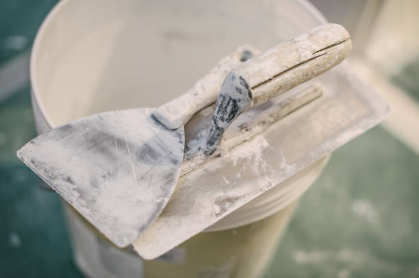 Best Forensic Mold Investigation  in Buchanan, NY