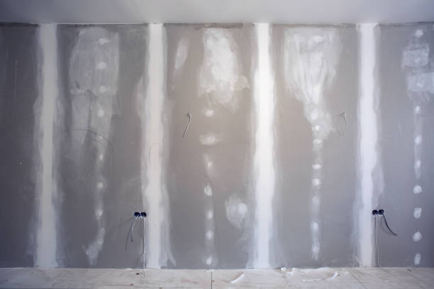 Best Forensic Mold Investigation  in Buchanan, NY